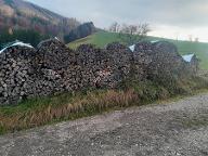 Brennholz Esche, Buche