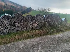 Brennholz Brennholz Esche, Buche