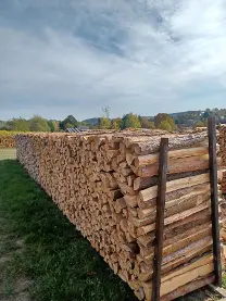 Brennholz Brennholz Kiefer