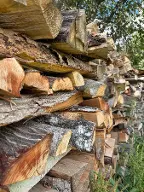 Brennholz Fichte, Birke, Lärche Brennholz gemischt ofenfertig Neumarkt in Steiermark