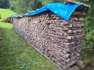 Brennholz Esche