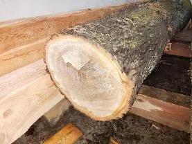 Rundholz Rundholz Eiche