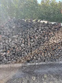 Brennholz Brennholz Eiche