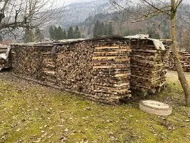 Brennholz Brennholz Esche, Buche