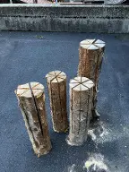 Schwedenfeuer/Feuerstock Lauterbrunnen