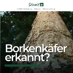 ad Wenn der Käfer kommt zählt jeder Tag