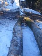 Tannen Zwiesel St. Jakob in Haus