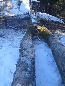 Holzprodukte Tannen Zwiesel