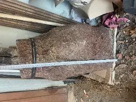 Rundholz Rundholz Fichte Fichte mit maserknollen