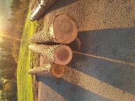 Rundholz Esche