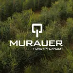 ad Murauer Forstpflanzen