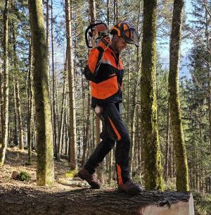 ad Höchstpreise sichern