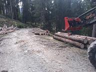 Dienstleistung Seidner Holzschlägerung (sonstige forstliche Dienstleistung, Holzernte & Rückung, Brennholz: Produktion/Handel)