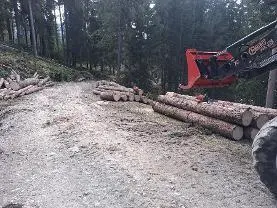 Dienstleistung Seidner Holzschlägerung (sonstige forstliche Dienstleistung, Holzernte & Rückung, Brennholz: Produktion/Handel)