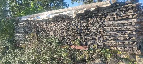 Brennholz Brennholz Eiche, Buche Astrein