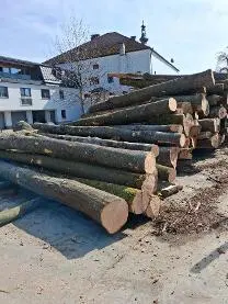 Rundholz Rundholz Buche