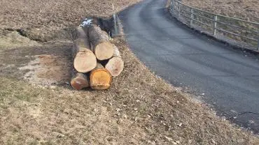 Rundholz Rundholz Eiche
