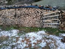 Brennholz Brennholz Fichte, Esche, Buche Geschmischt