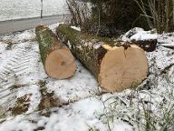 Rundholz Ahorn leichte Riegelung