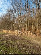 Brennholz Fichte trocken 1m