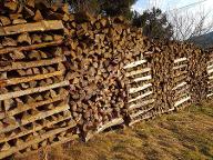 Brennholz Fichte