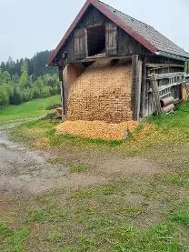 Hackschnitzel Hackgut Hart-/Weichholz gemischt