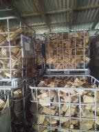 Brennholz Pappel, Eiche, Erle Grošenaspe