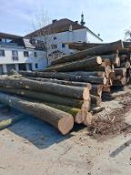 Rundholz Buche Waldzell