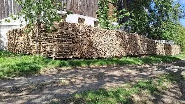 Brennholz Brennholz Esche sortenrein - Bucklige Welt