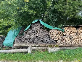 Brennholz Brennholz Esche, Buche