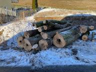 Rundholz Buche Faser, Industie,...