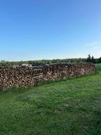Brennholz Birke, Kiefer, Buche Kein Automatenholz!