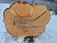 Rundholz Ahorn Schreiner Holz Bischofsmais