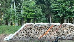 Brennholz Esche, Eiche, Buche