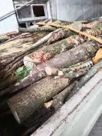 Brennholz Esche, Buche, Erle Mettmach