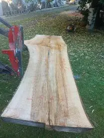 Schnittholz Schnittholz Esche Rustikale Einbaumplatten