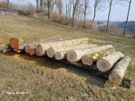 Rundholz Ahorn und Erle Kottes