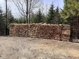 Brennholz Brennholz Buche Meterscheiter