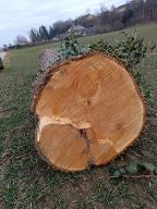 Rundholz Linde