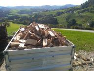 Brennholz Esche, Buche