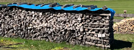 Brennholz Brennholz Esche, Buche