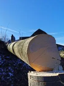 Rundholz Rundholz Ahorn