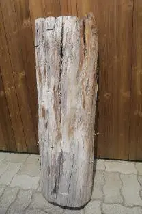 Holzprodukte Birne Halbstamm