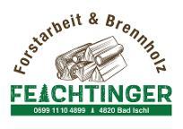 Dienstleistung Feichtinger (Holzernte & Rückung, Baumabtragung/-pflege, Brennholz: Produktion/Handel)