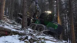 ad Wald besitzen ohne Arbeit