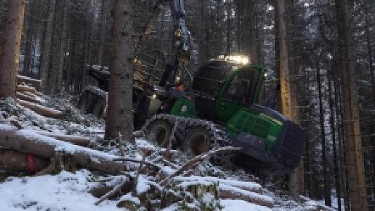 ad Wald besitzen ohne Arbeit