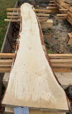 Schnittholz Birke - Nr. 24020