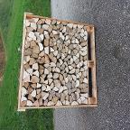 Brennholz Esche, Ahorn, Buche Brennholz