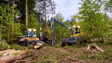 Dienstleistung Forsttechnik Maislinger