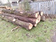 Rundholz Eiche Mit Äste und ohne äste